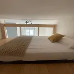 T2 Cosy Mezzanine & Cheminee Europole Gare Iut Gem * Grenoble