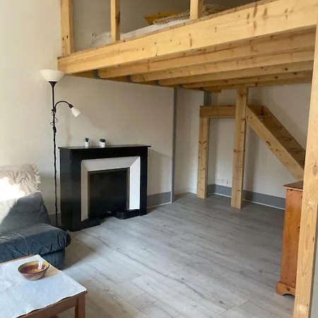 T2 Cosy Mezzanine & Cheminee Europole Gare Iut Gem Apartment