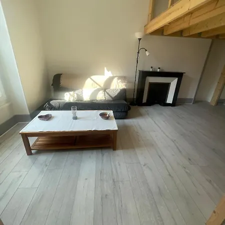 T2 Cosy Mezzanine & Cheminee Europole Gare Iut Gem Apartmán Grenoble