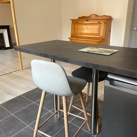 T2 Cosy Mezzanine & Cheminee Europole Gare Iut Gem * Grenoble