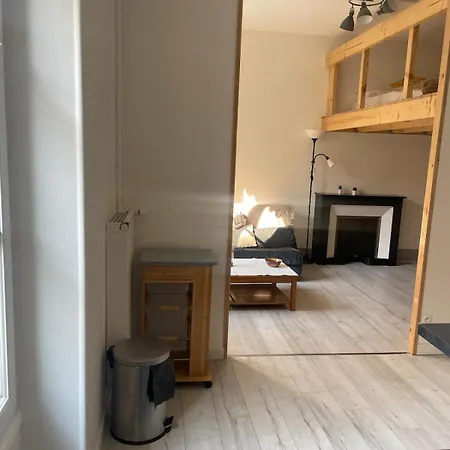T2 Cosy Mezzanine&cheminée Europole Gare Iut Gem *