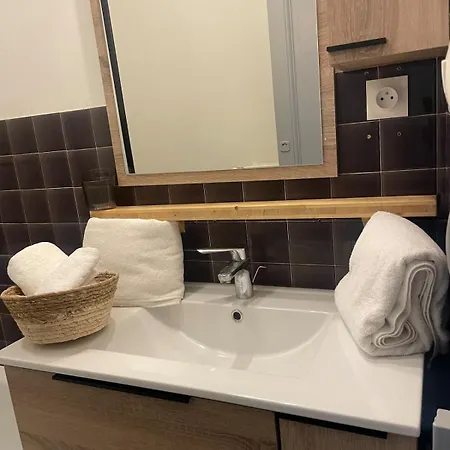Appartement T2 Cosy Mezzanine&cheminée Europole Gare Iut Gem