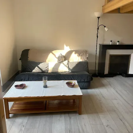 T2 Cosy Mezzanine & Cheminee Europole Gare Iut Gem *