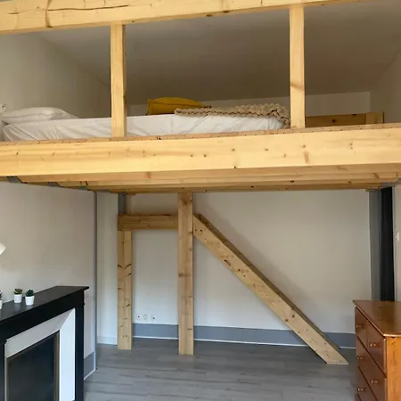 T2 Cosy Mezzanine & Cheminee Europole Gare Iut Gem Apartment